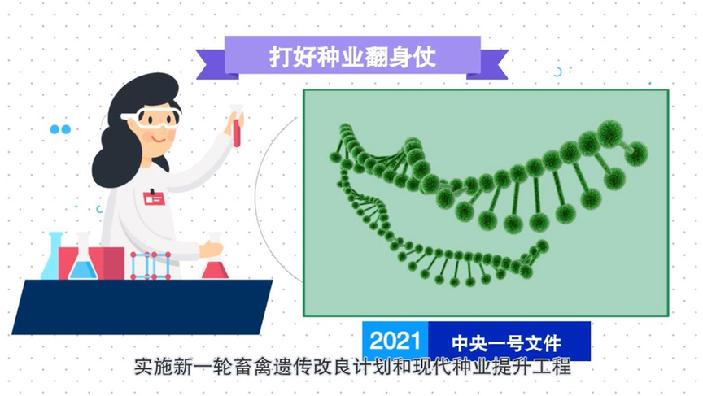 全面鄉(xiāng)村振興總動(dòng)員！動(dòng)畫解讀2021中央一號(hào)文件